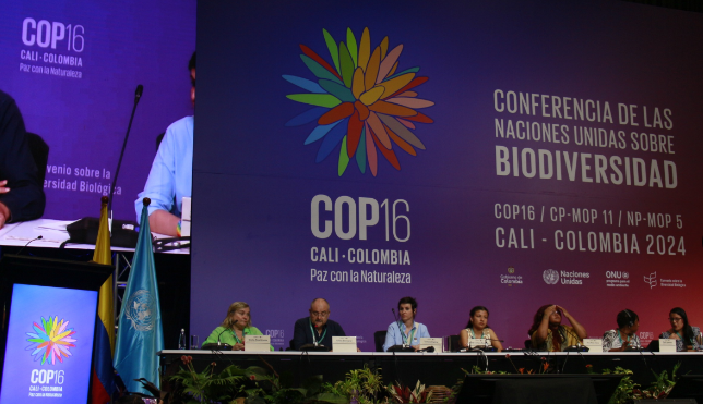 COP16 En Cali: Siga Minuto A Minuto El Quinto Día De La Cumbre | El ...